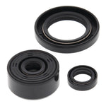 Oil Seal Kit