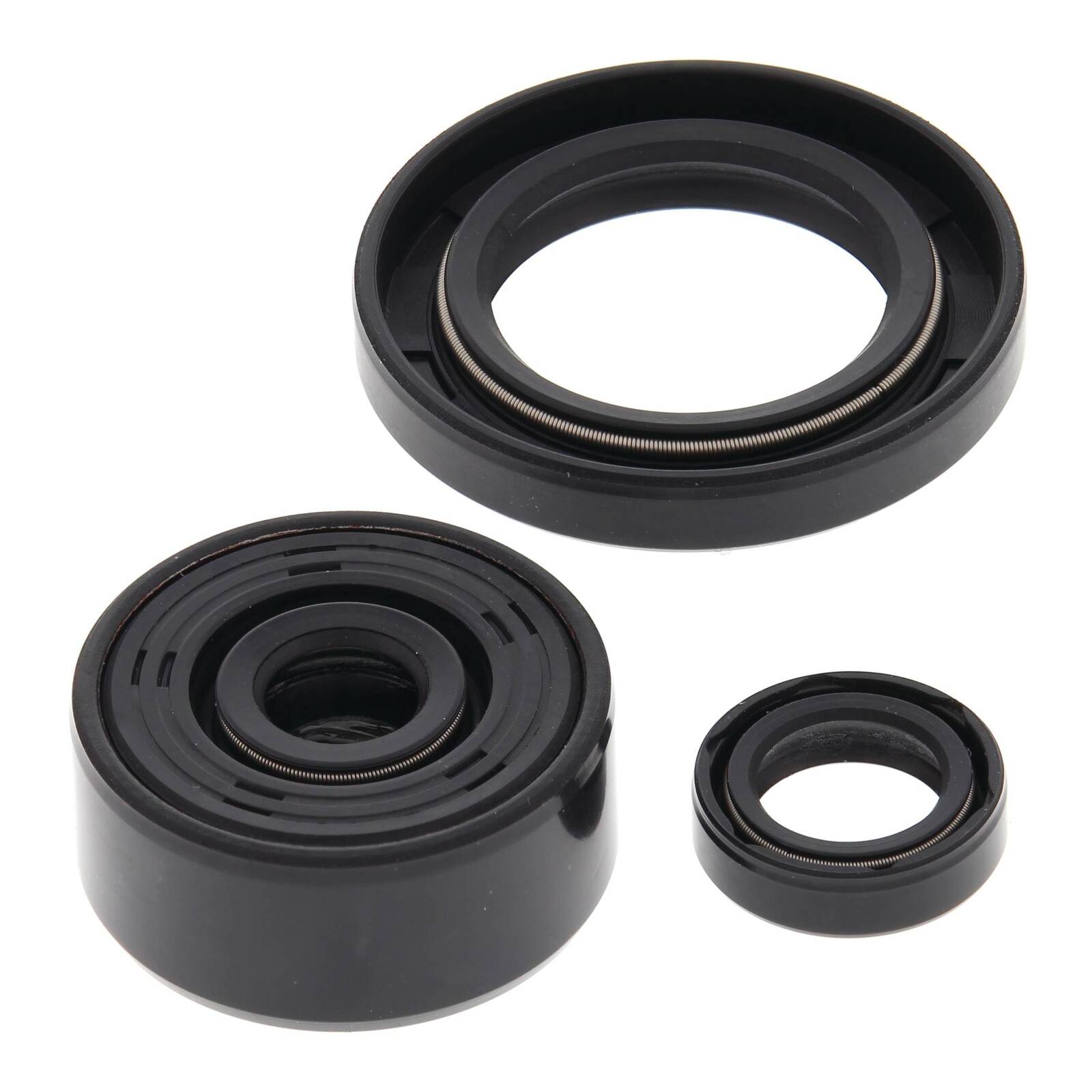 Oil Seal Kit