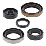 Oil Seal Kit