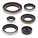 Oil Seal Kit