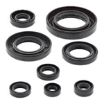 Oil Seal Kit