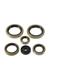 Oil Seal Kit