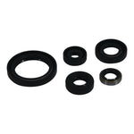 Oil Seal Kit
