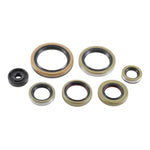 Oil Seal Kit