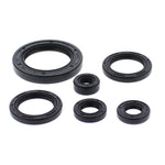 Oil Seal Kit