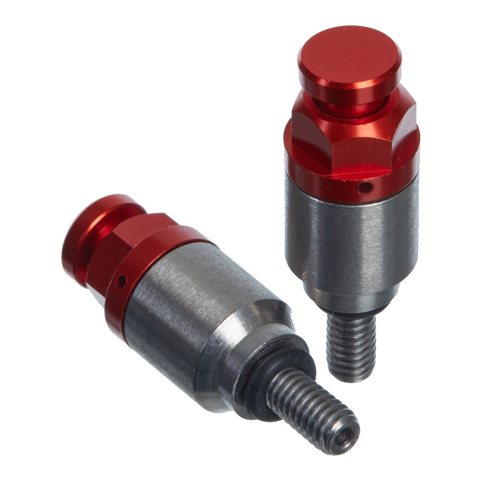 Whites Fork Bleeder Valve