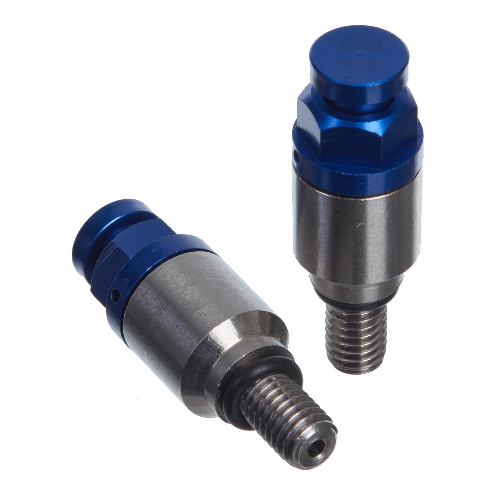 Whites Fork Bleeder Valve