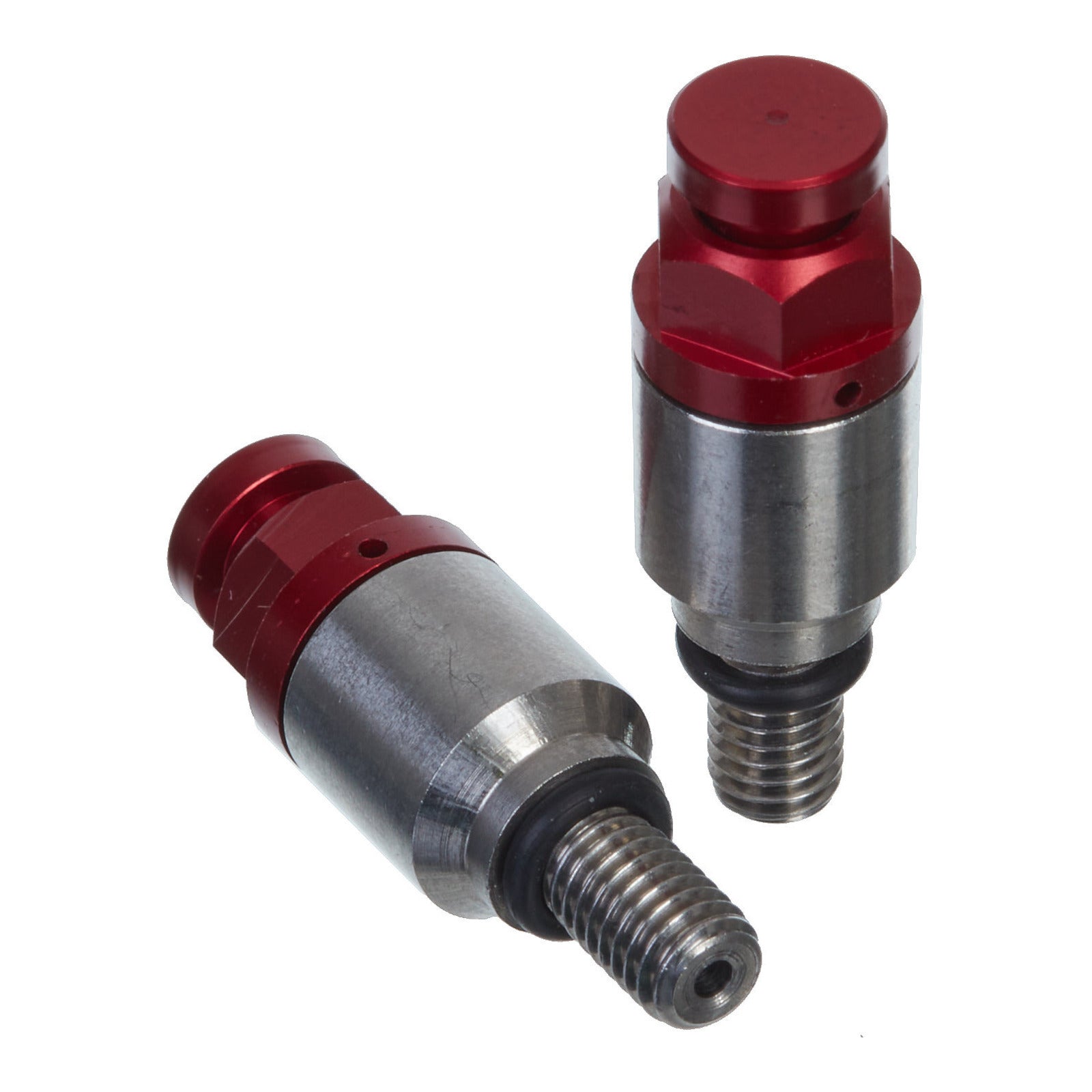 Whites Fork Bleeder Valve