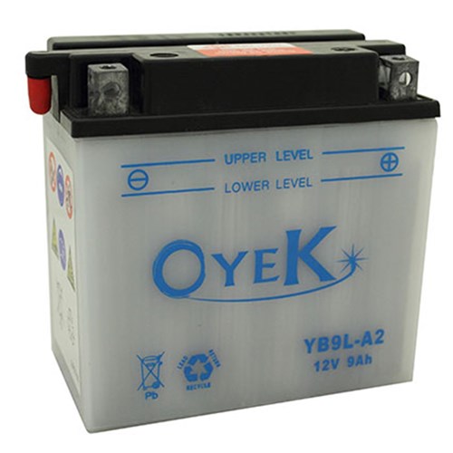 OYEK YB12AL-A2 HEAVY DUTY QTY PR. MULTI 10 (UN2796)  [ONC01]