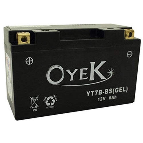 OYEK YB9L-A2 HEAVY DUTY QTY PR. MULTI 10 (UN2796)  [ONC01]