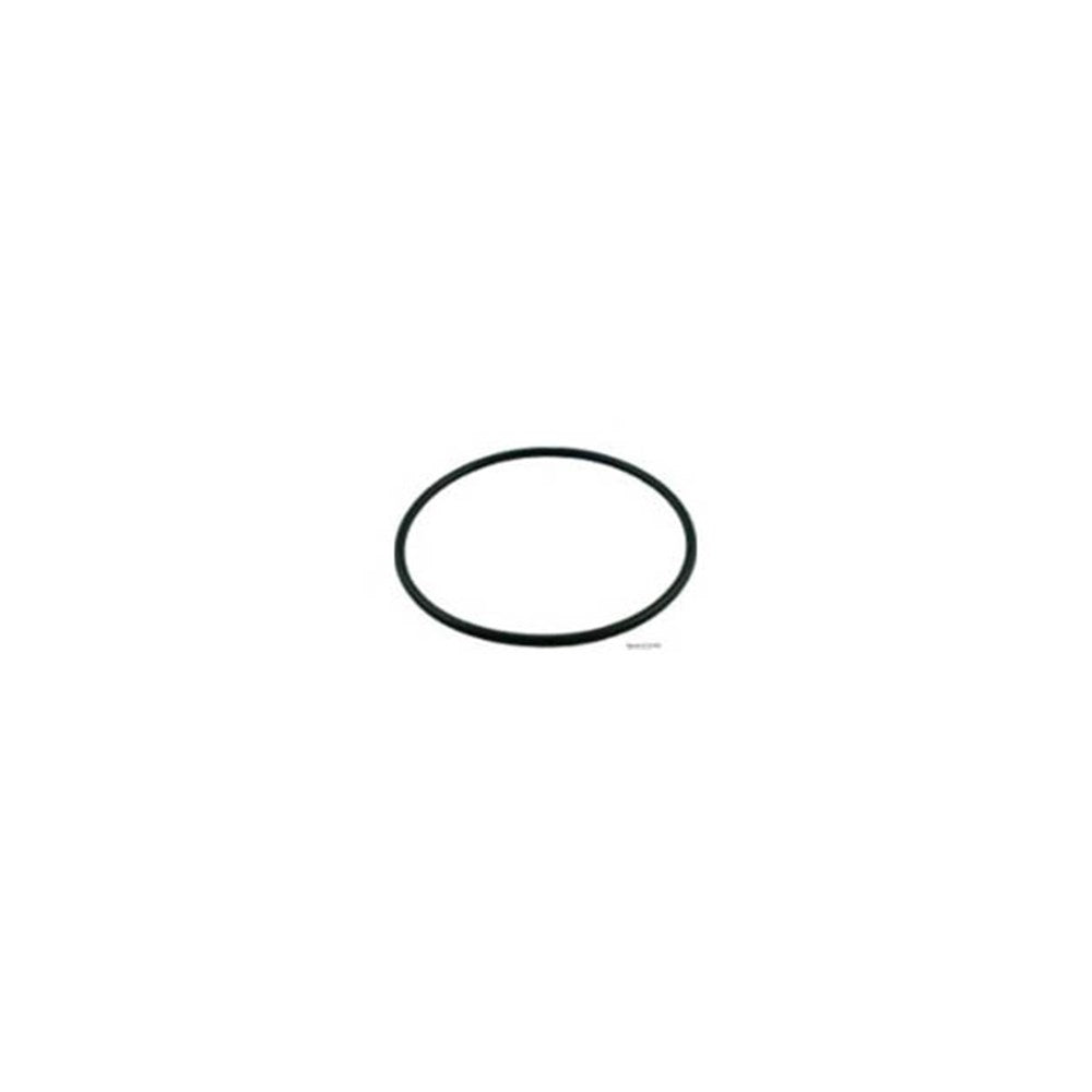 ZODIAC R/MENT VITON O-RING SEAL (FOR Z120243/Z120244)