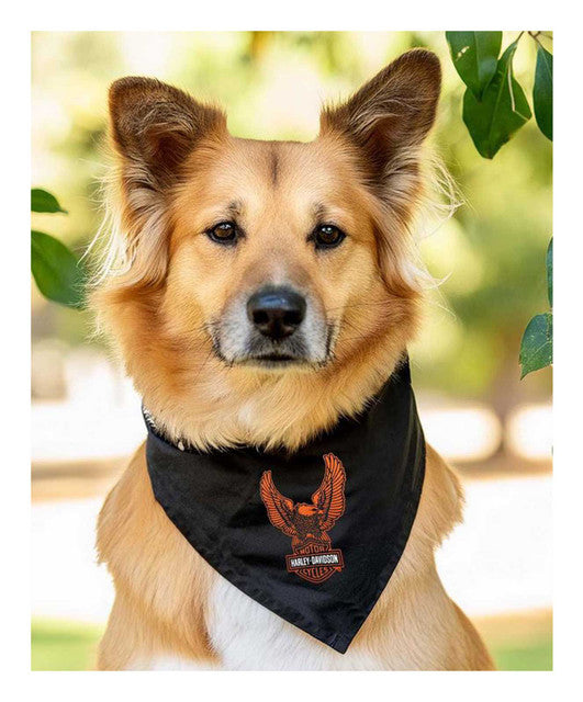 Harley-Davidson Bar & Shield Eagle Pet Bandana